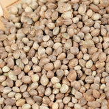 100% Healthy Herbal Tea Original Huomaren Chinese Specialty  火麻仁 250g 500g