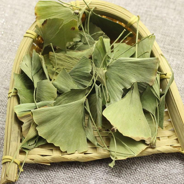 Ecology Herbal Green Tea Health Care Ginkgo Biloba Leaves Tea Chinese Ginkgo Tea
