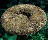 Top Ancient Tree Puer Tea Healthy Food Organic Green Tea Old Cha Pu-erh Tea 400g