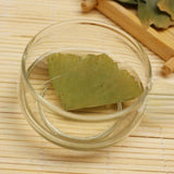 Ecology Herbal Green Tea Health Care Ginkgo Biloba Leaves Tea Chinese Ginkgo Tea