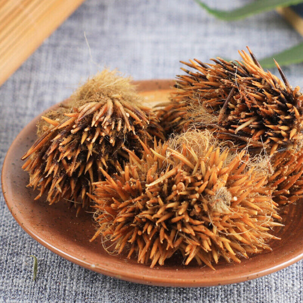 Ciweipi Healthy Care 100% Chinese Top-grade Authentic Hedgehog Skin 50g 正品刺猬皮