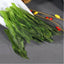 Green Tea Herbal Tea Monkey King China Health Chinese Tai Ping Hou Kui Green Tea