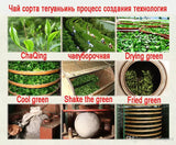 New Tieguanyin Tieguanyin 64 Oolong Tea Vesicle Health Bag China 500g