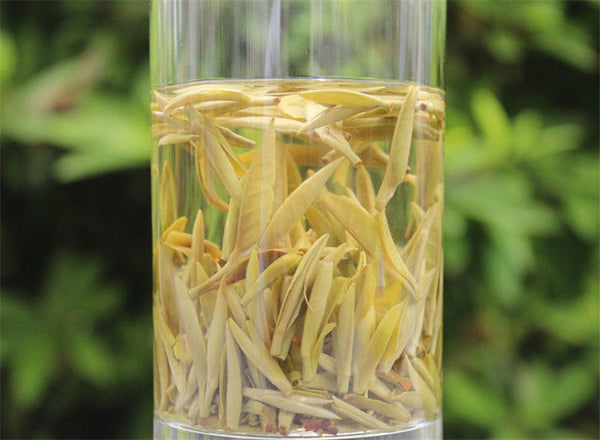 300g Old Fuding white tea cake natural organic Chinese white tea silver needle