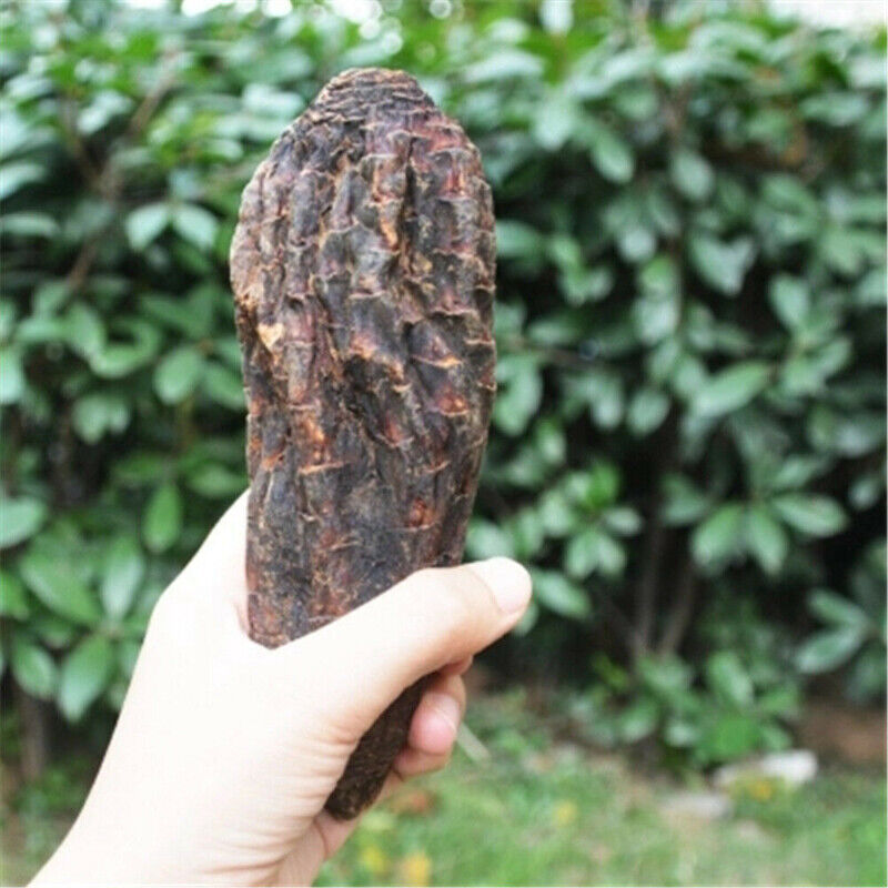Rou Song Rong Sinkiang Wild Desertliving Cistanche Ecology Herb Tonic500g/1000g Main image