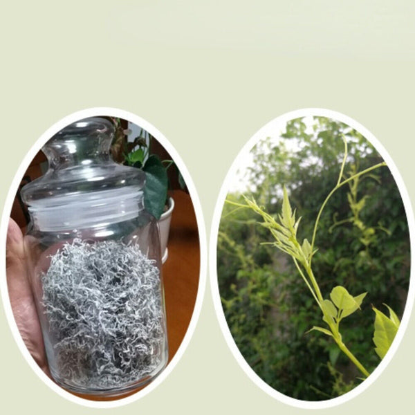 Organic Ecology Tea Top Grade ZhangJiaJie Mao Yan Mei Moyeam Wild Vines Teng Cha
