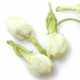 Organic Jasmine Flower HerbalTea Floral Dried Buds Herbal Natural Fragrance Tea