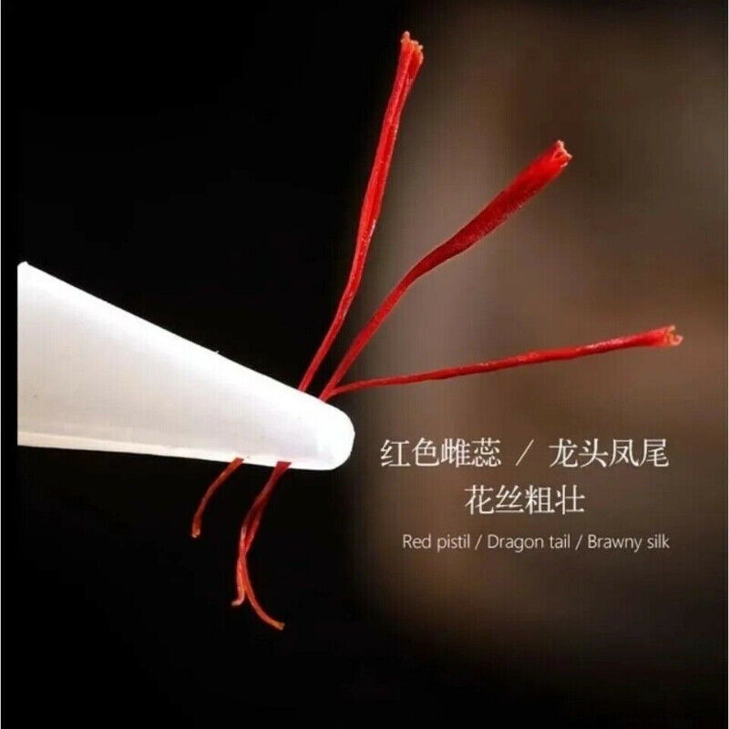 Zang Hong Hua Herb Saffron Crocus Stigma Croci Full Red 0.5g 藏红花 全红花
