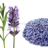 Floral China Bloom Herbal Tea Gift Good for Sleep Lavender Dried Flower Tea 50g
