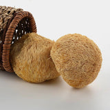 Organic Hericium Erinaceus Original Dried Houtougu China Herbal Health Care 250g