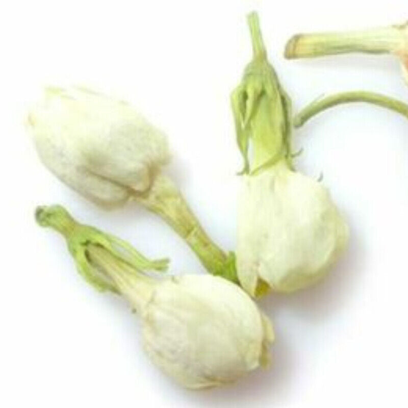 Organic Jasmine Flower HerbalTea Floral Dried Buds Herbal Natural Fragrance Tea