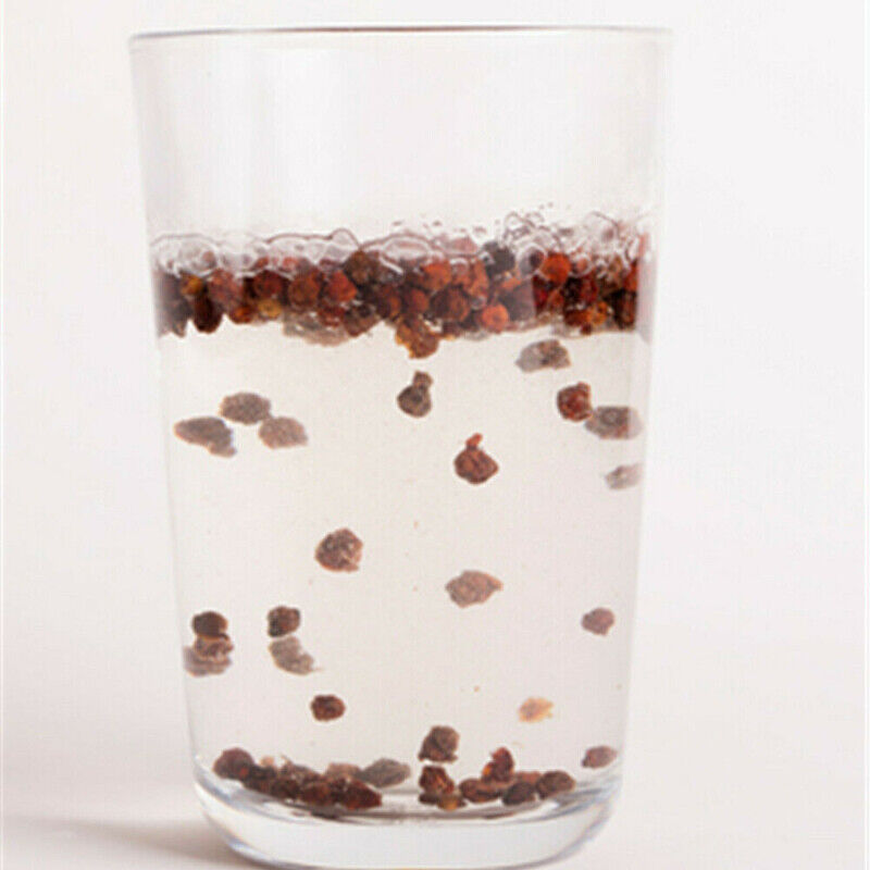 Dried Berries Wu Wei Zi Tonic Five Flavours Fruit Premium Schisandra 250g 五味子