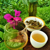 Spring Tea Tea Green Tea Zhonghong Guafengzhai Ancient Tree Tea 357g