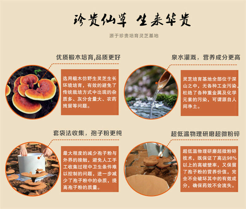 Herbal Tea Chinese Wild Reishi Powder Spore Powder Ganoderma Lucidum Tea 500g