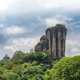 Tin Wuyi Rock Tea AT101 TAN CHUNG CHI CHONG Authentic Fujian Oolong Tea 125g