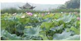 Organic Green Tea Health  Chinese Herbal Tea Ecology Lotus Leaf Tea 30g