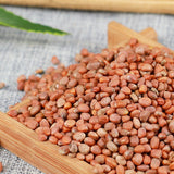 Luobizi Radish Seeds Healthy Tea Natural Organic Healthy Herbal Tea  萝卜子 500g