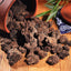 TemuTea Black Natural Flavor Puerh Tea Pu'erh Yunnan Puer tea Mini Tuocha Green slimming