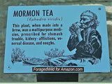 Mormon Tea - Brigham Tea - Ephedra Tea - SUBALPINE | USA WILDCRAFTED 8.8oz Dried