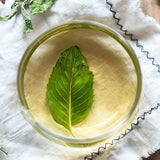 Peppermint Leaf Tea Top Grade Herbal Mentha Leave Refreshing Edible Green Food