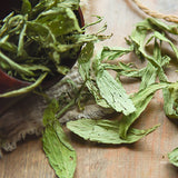 Natural Flower Tea Stevia Leaves Tea Low Sugar Substitute Sweet Scented Tea Bulk