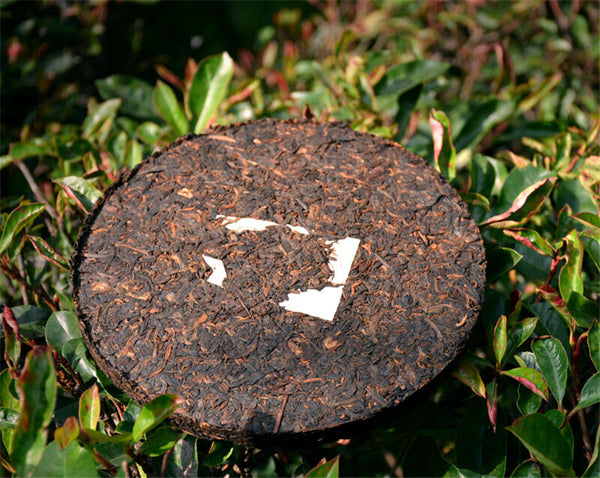 T8663 Xiaguan Jinbang Series Ripe Puer Cake Black Tea Pu erh Tea Cooked Tea 357g