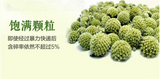 Shirley Wild Flower Tea Nature Scented Tea FOR BEAUTY Tibet Green Radish Tea 50g