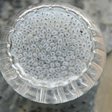 Lan Xiangzi Basil Seeds Stomach Fruit Tea Strengthening Reduce Weight HealthCare