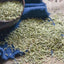 Chinese Refresh Yourself Scented Tea Relieve Headache Green Tea Rosemary Tea