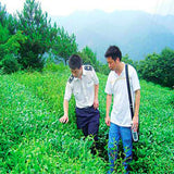 Fresh Top Fragance Chinese Tea High Quality Early Spring Green Jasmine Tea 50g