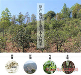 Yunnan Pu'er Tea Healthy Care Top 100g 50 Years 1 Pack Mini Tuocha Old Pu'er Tea