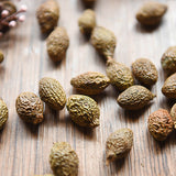 Organic Flowers Tea Seed of Boat-fruited Sterculia Tea Hand selected Reduce Heat