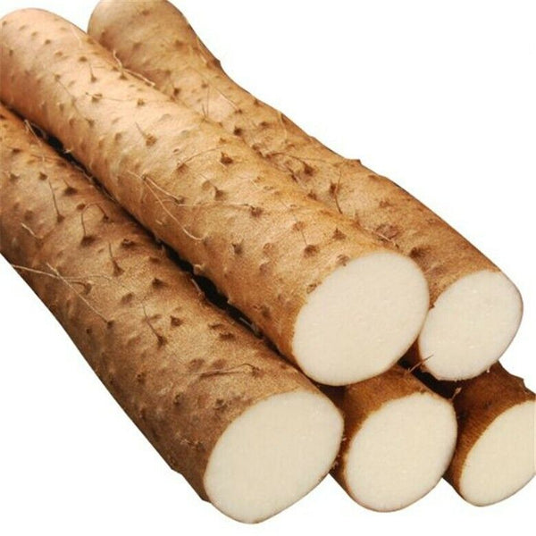 Herbal Tea Top Grade Purely Natural Organic Yam Rhizome Extract 100% Powder 100g
