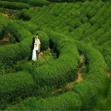 Wild Rose Tea High Quality Dried Flowers Tea Chinese Special Herbal Tea Health