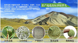 Shirley Wild Flower Tea Nature Scented Tea FOR BEAUTY Tibet Green Radish Tea 50g