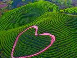 Bulk Reduce Internal Heat Special Green Health Care Herbal Tea Flower Tea