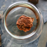 Dried Plums Food Snack Wild Dark Plum Sour Top Grade Plum Soup Increase Appetite