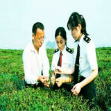 Chinese Special Fruits Tea Hawthorn Slices Tea Work Up An Appetite Healthy Food
