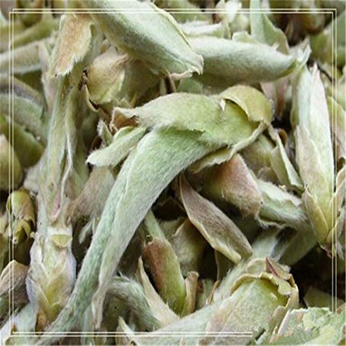 Anti-age Special Organic Loose White Tea Puerh Tree Buds Wild Cha Puer Tea 100g Main image