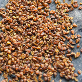 Green Food Bitter Buckwheat Black Bitter Xichang Sichuan Whole Germ Herbal Tea