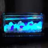 10Pcs/LOT Nice Glow in the Dark Pebbles Artificial Luminous Stone Walkway Aquarium Accessories Fish Tank Decor free shipping
