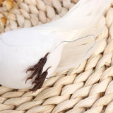 2PCS/lot Cute Artificial Feather Birds Bundled Foam Pigeons with Claw Photo Props Home Decoration