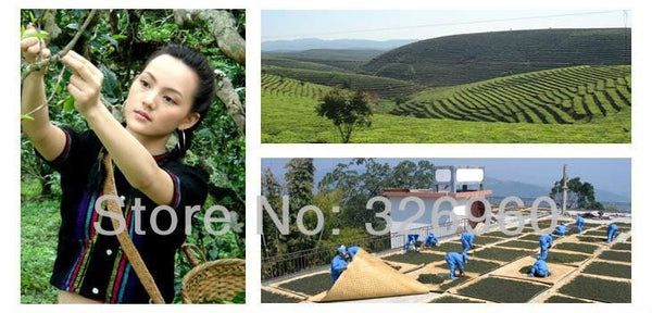 100g Yunnan Rose Puerh Tea Canned Rose Puer Small Tuocha Organic Pu Er Ripe Tea
