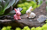 XBJ118 Mini 6pcs Pink and white rabbit decoration supplies moss micro landscape deco  Garden deco Creative handicrafts