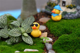 XBJ162 Mini 6pcs Traveling Ducks decoration supplies moss micro landscape deco  Garden deco Creative handicrafts
