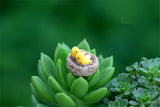 XBJ086 Mini 4pcs Oriole bird Bottle decoration supplies moss micro landscape deco  Garden deco Creative handicrafts