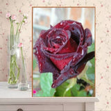 DIY Partial 5D Diamond Embroidery The Rose Round Diamond Painting Cross Stitch Kits Diamond Mosaic Home Decoration