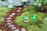 XBJ049 Mini Artificial Frog 2Pcs  Decoration Accessories Fairy Garden Miniatures DIY Craft Micro Landscaping Decor for Garden
