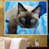 DIY 5D Partial Diamond Embroidery The cat Round Diamond Painting Cross Stitch Kits Diamond Mosaic Home Decoration