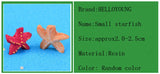 XBJ167 Mini 8pcs Small starfish decoration supplies moss micro landscape deco  Garden deco Creative handicrafts